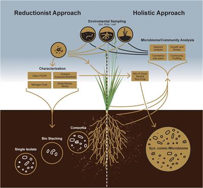 Microbe to Microbiome: A Paradigm Shift in the Application of Microorganisms for Sustainable Agriculture